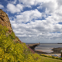 Buy canvas prints of The mouth of the River Tyne by Jim Jones