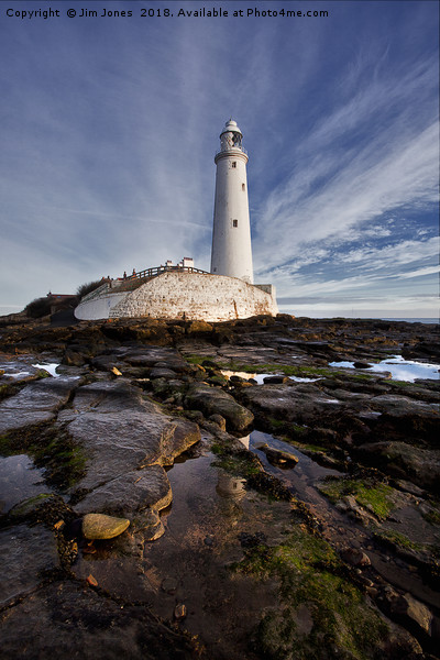 St Mary's Island and Lighthouse (Portrait view) Picture Board by Jim Jones
