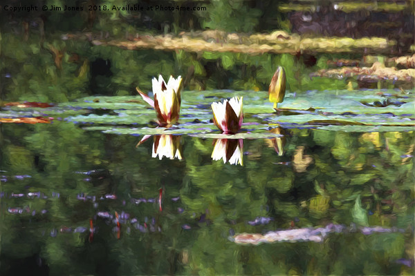 Artistic Waterlilies in the style of Monet Picture Board by Jim Jones
