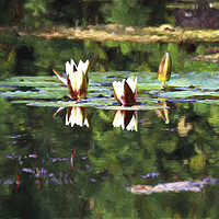 Buy canvas prints of Artistic Waterlilies in the style of Monet by Jim Jones