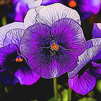 Buy canvas prints of Artistic Purple Pansies by Jim Jones