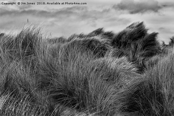 Sand Dunes in Black and White Picture Board by Jim Jones