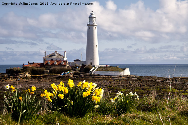 St Mary's Island in Springtime Picture Board by Jim Jones