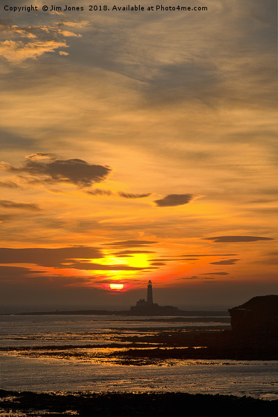 Sunrise over St Mary's Lighthouse Picture Board by Jim Jones
