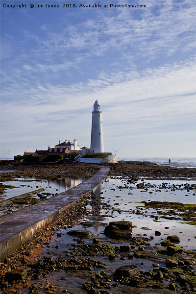 St Mary's Island and Lighthouse (Portrait view) Picture Board by Jim Jones