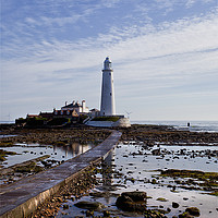 Buy canvas prints of St Mary's Island and Lighthouse (Portrait view) by Jim Jones