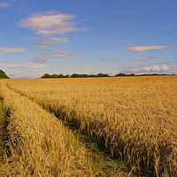 Buy canvas prints of Artistic English Wheat Field by Jim Jones