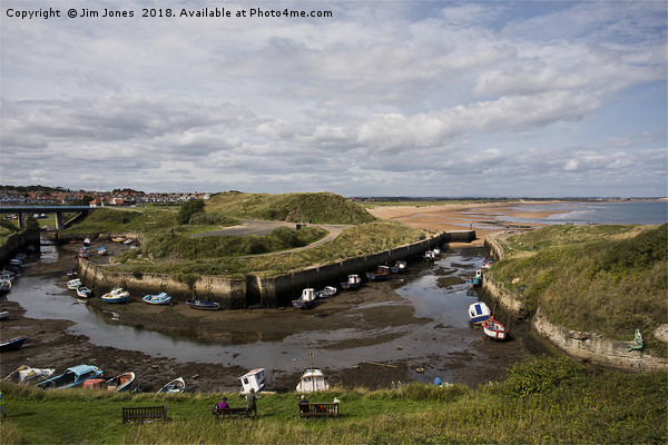 Seaton Sluice Harbour, Northumberland Picture Board by Jim Jones