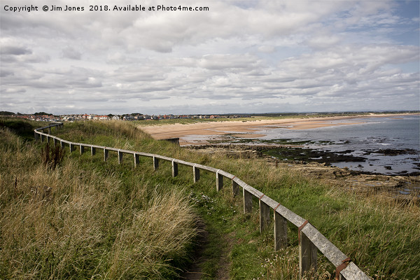 Seaton Sluice beach in Northumberland Picture Board by Jim Jones