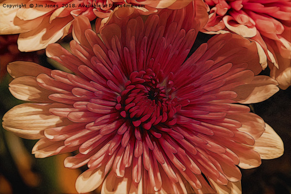 Floral Art Picture Board by Jim Jones