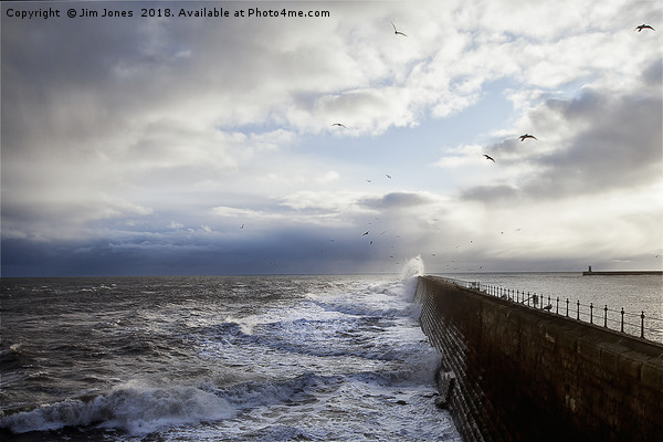 Stormy sea, sky and seagulls Picture Board by Jim Jones