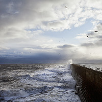 Buy canvas prints of Stormy sea, sky and seagulls by Jim Jones