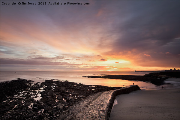 Cullercoats Bay at dawn Picture Board by Jim Jones