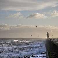 Buy canvas prints of Rough Seas  by Tynemouth Pier (2) by Jim Jones