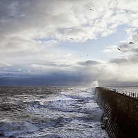 Buy canvas prints of Rough seas and seagulls by Jim Jones