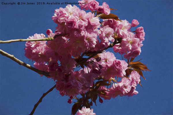 Artistic Pink Cherry Blossom Picture Board by Jim Jones