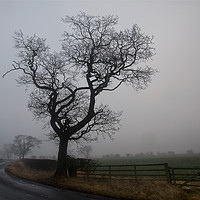 Buy canvas prints of February fog by Jim Jones