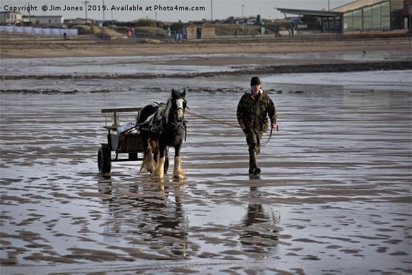 Horse and cart on the beach Picture Board by Jim Jones