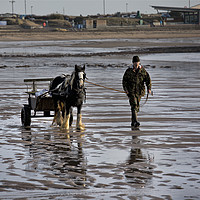 Buy canvas prints of Horse and cart on the beach by Jim Jones