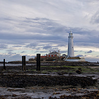 Buy canvas prints of St Mary's Island at low tide. by Jim Jones