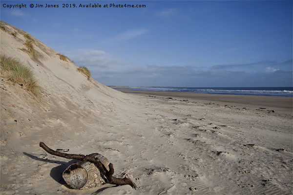 Driftwood on the beach at Druridge Bay Picture Board by Jim Jones