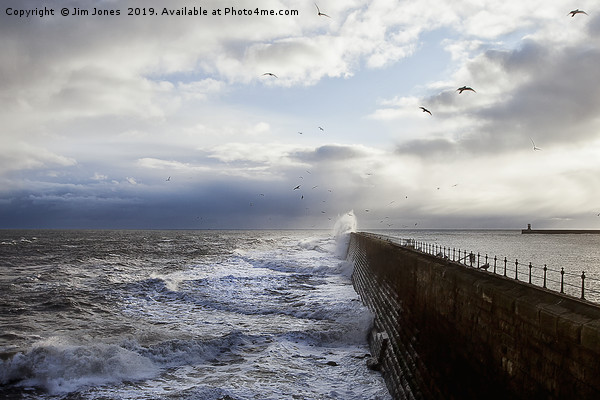 Stormy seas and seagulls Picture Board by Jim Jones