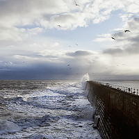 Buy canvas prints of Stormy seas and seagulls by Jim Jones
