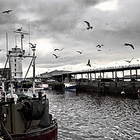 Buy canvas prints of North Shields Fish Quay with just a hint of colour by Jim Jones