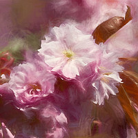 Buy canvas prints of Dreaming of Springtime by Jim Jones