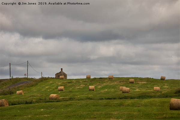 Hay Bales under an overcast sky Picture Board by Jim Jones