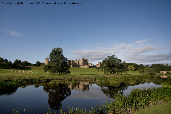 Alnwick Castle reflected in the River Aln Picture Board by Jim Jones