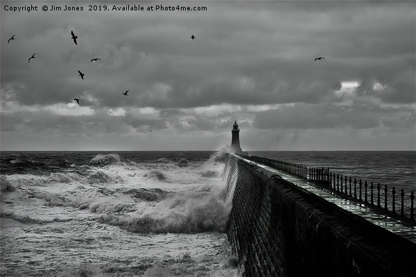 Rough Seas at Tynemouth Pier (B&W) Picture Board by Jim Jones