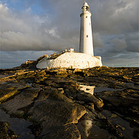 Buy canvas prints of Sunrise at St Mary's Island (portrait version) by Jim Jones