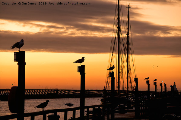 Several silhouetted seagulls at Sunrise Picture Board by Jim Jones