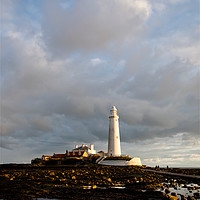 Buy canvas prints of Early morning sunshine at St Mary's Island. by Jim Jones