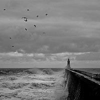Buy canvas prints of Storm over Tynemouth Pier by Jim Jones