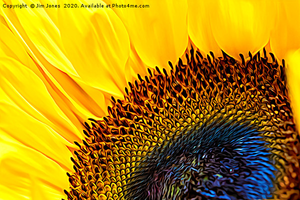 Artistic Sunflower Macro Picture Board by Jim Jones