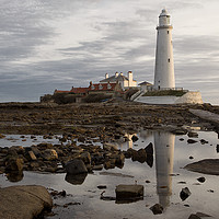 Buy canvas prints of Reflecting on St Mary's Island by Jim Jones