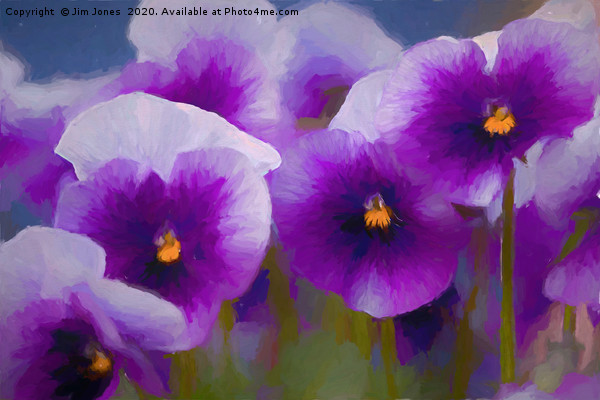 Artistic Purple Pansies. Picture Board by Jim Jones