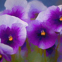 Buy canvas prints of Artistic Purple Pansies. by Jim Jones