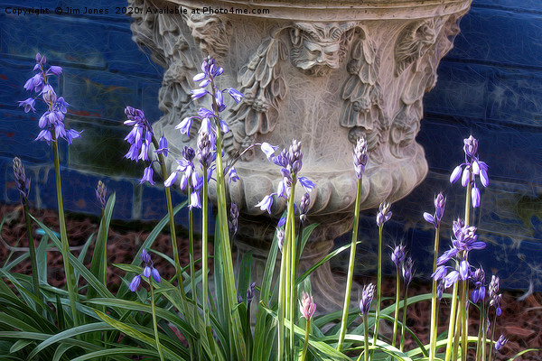 Bluebells and Decorative Urn with artistic filter. Picture Board by Jim Jones