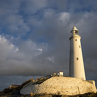 Buy canvas prints of Early morning sunshine at St Mary's Island. by Jim Jones