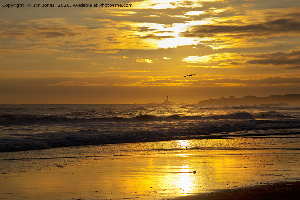 Golden Sunrise over the North Sea Picture Board by Jim Jones