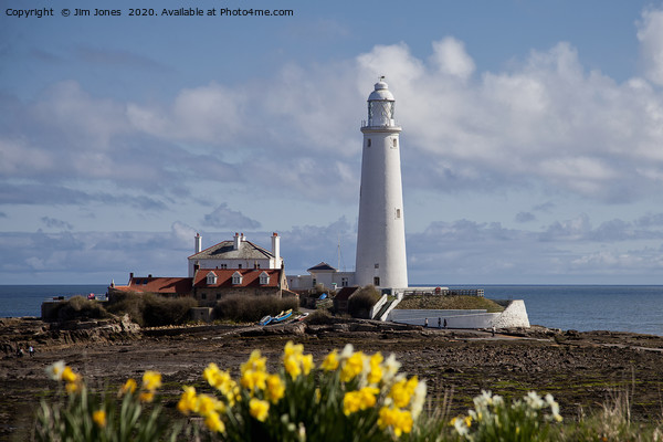 Springtime at St Mary's Island Picture Board by Jim Jones