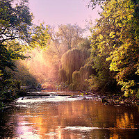 Buy canvas prints of Autumn Sunshine on the River Blyth by Jim Jones