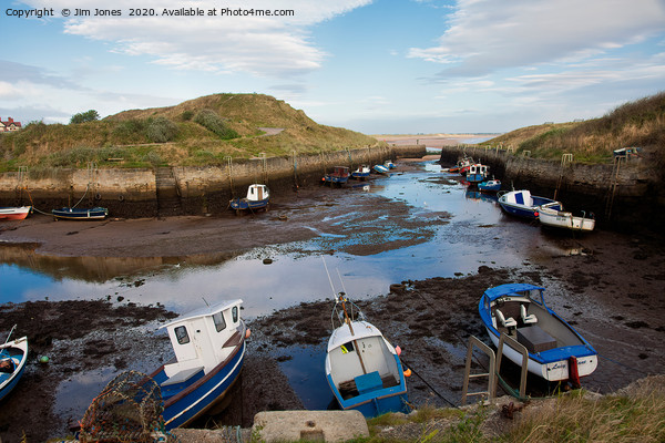 Seaton Sluice Harbour in Northumberland Picture Board by Jim Jones