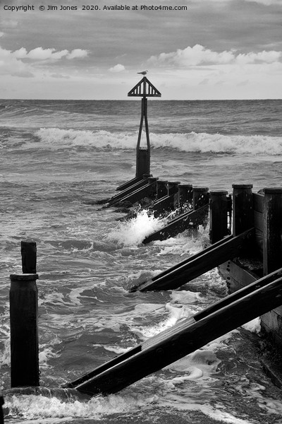The Groyne at Seaton Sluice in Black and White Picture Board by Jim Jones
