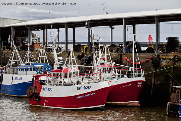 Fishing Boats safely tied up in harbour Picture Board by Jim Jones