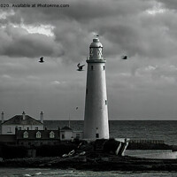 Buy canvas prints of Seagulls at St Mary's by Jim Jones