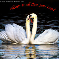 Buy canvas prints of Love is all that you need by Jim Jones